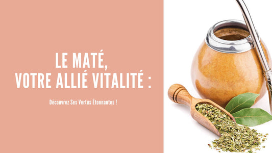 Le maté, votre allié vitalité : découvrez ses vertus étonnantes ! - ellesensitive
