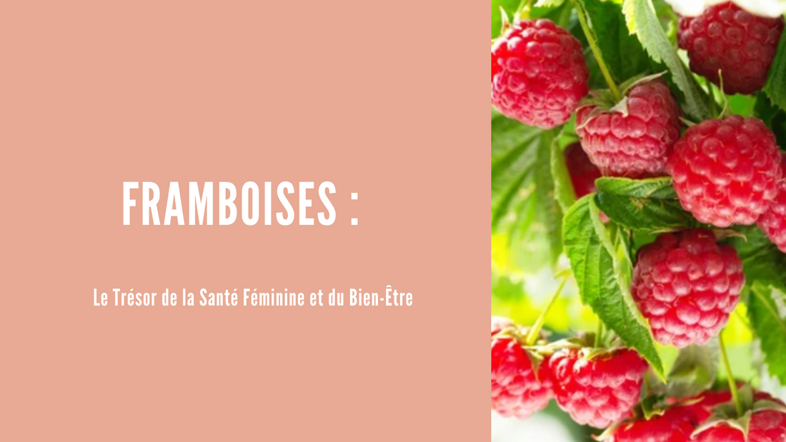 Framboise : Le Trésor de la Santé Féminine et du Bien-Être