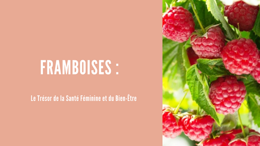 Framboise : Le Trésor de la Santé Féminine et du Bien-Être - ellesensitive