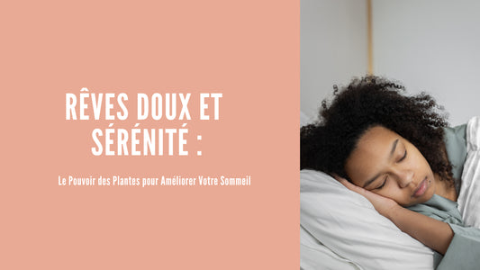 Rêves doux et sérénité : le pouvoir des plantes pour améliorer votre sommeil