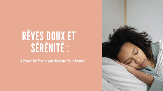 Rêves doux et sérénité : le pouvoir des plantes pour améliorer votre sommeil - ellesensitive