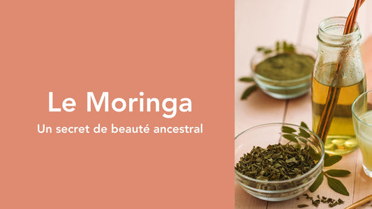 Le Moringa, un secret de beauté ancestral