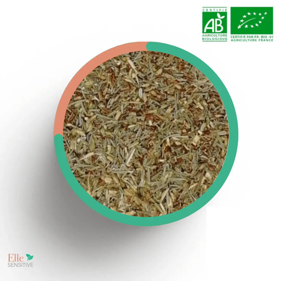 Daisy - ellesensitive