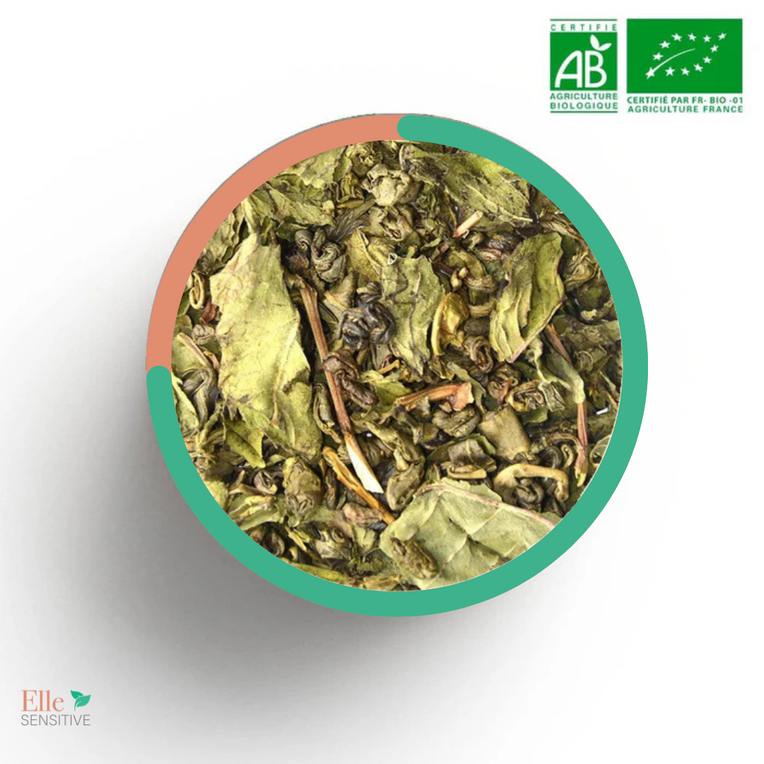 Daja - ellesensitive