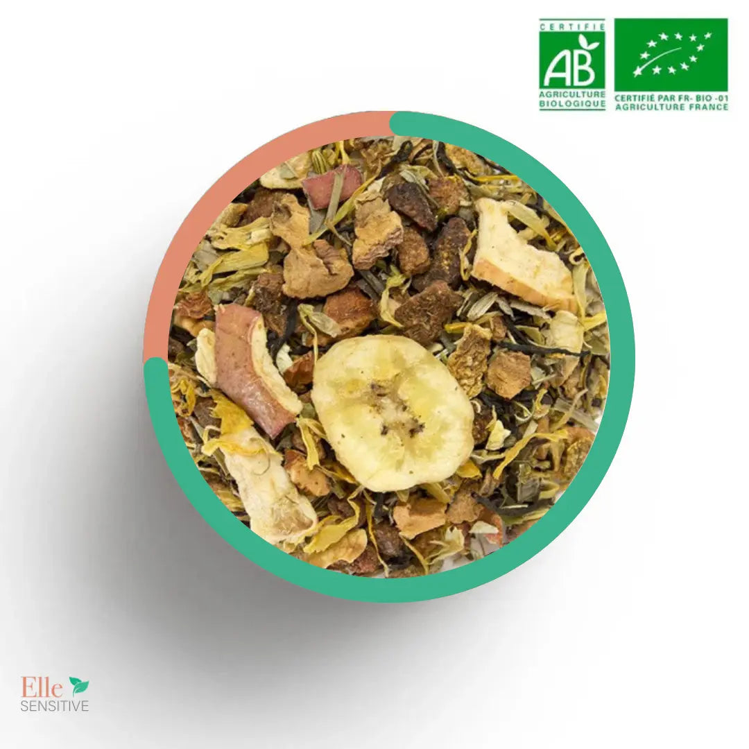 Nolan - ellesensitive